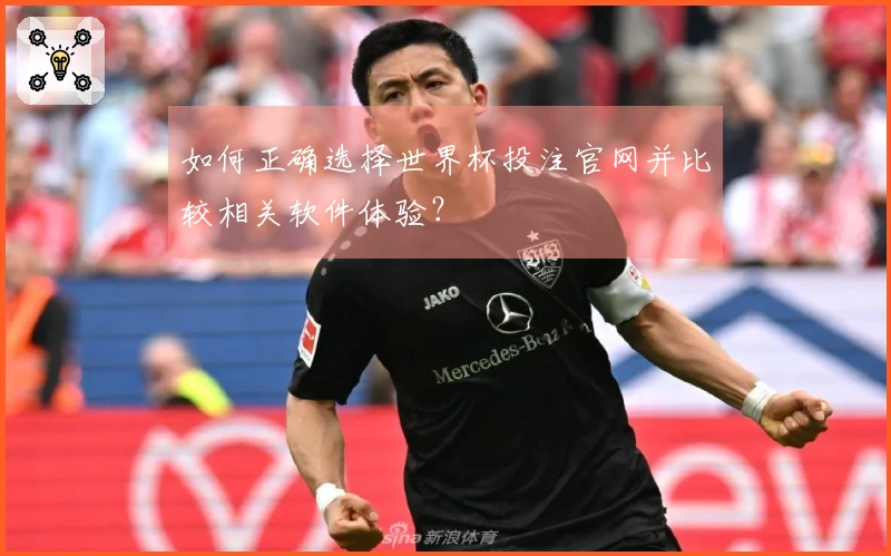 如何正确选择世界杯投注官网并比较相关软件体验？