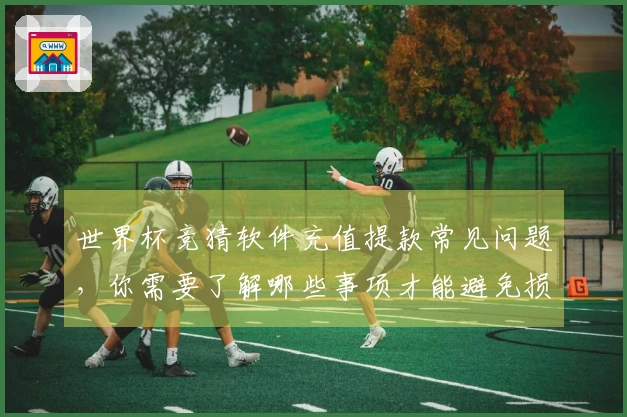 世界杯竞猜软件充值提款常见问题，你需要了解哪些事项才能避免损失