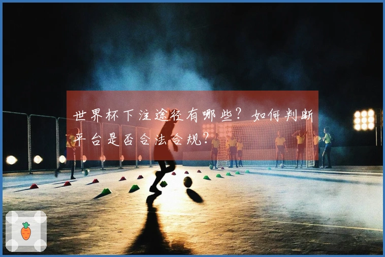 世界杯下注途径有哪些？如何判断平台是否合法合规？