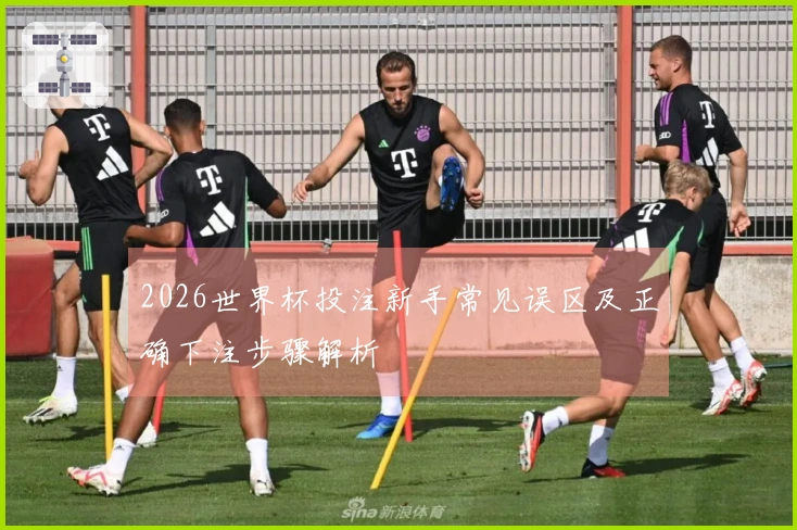 2026世界杯投注新手常见误区及正确下注步骤解析