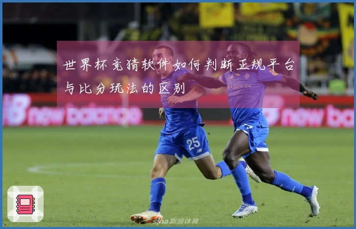 世界杯竞猜软件如何判断正规平台与比分玩法的区别