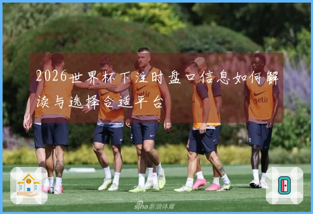 2026世界杯下注时盘口信息如何解读与选择合适平台