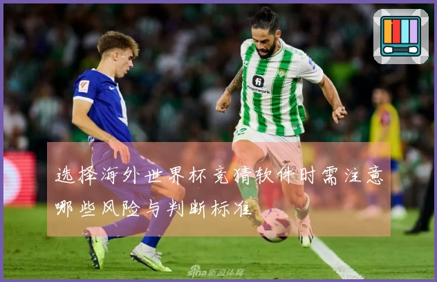 选择海外世界杯竞猜软件时需注意哪些风险与判断标准