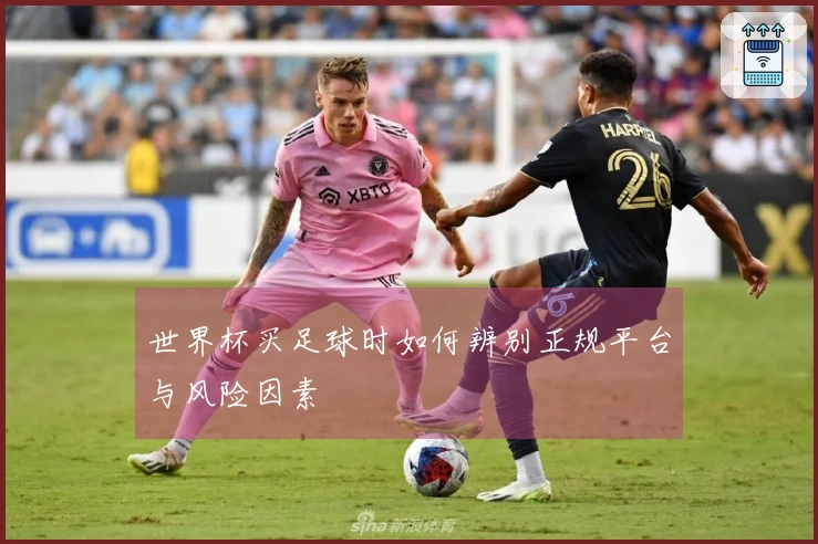 世界杯买足球时如何辨别正规平台与风险因素
