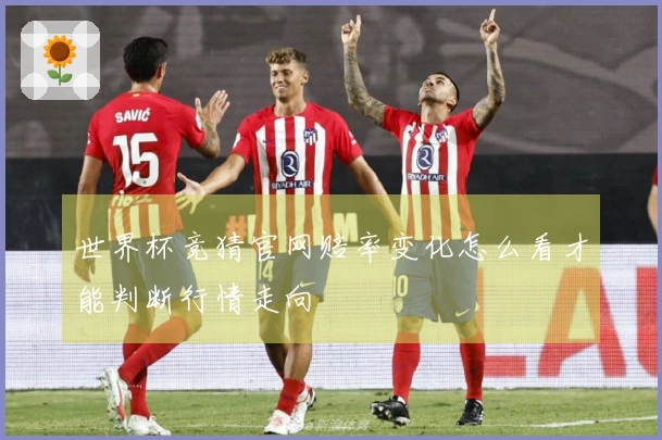世界杯竞猜官网赔率变化怎么看才能判断行情走向