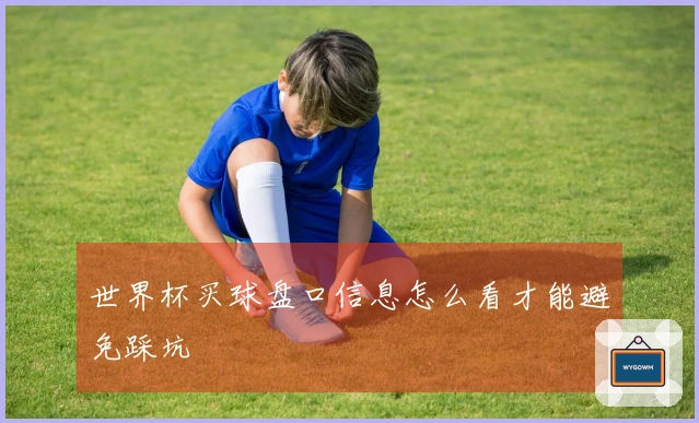 世界杯买球盘口信息怎么看才能避免踩坑