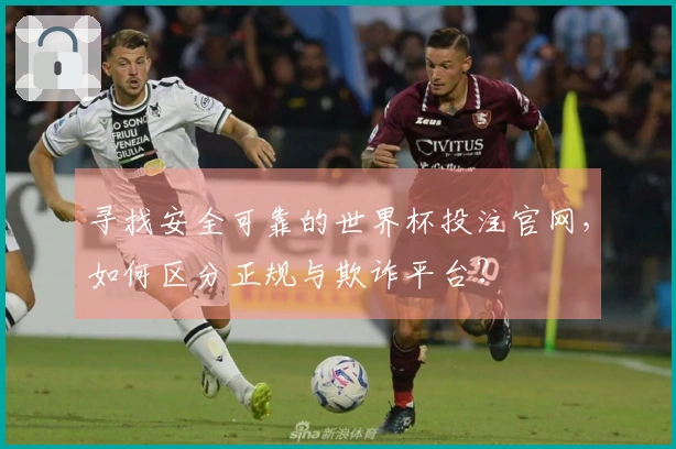 寻找安全可靠的世界杯投注官网，如何区分正规与欺诈平台？