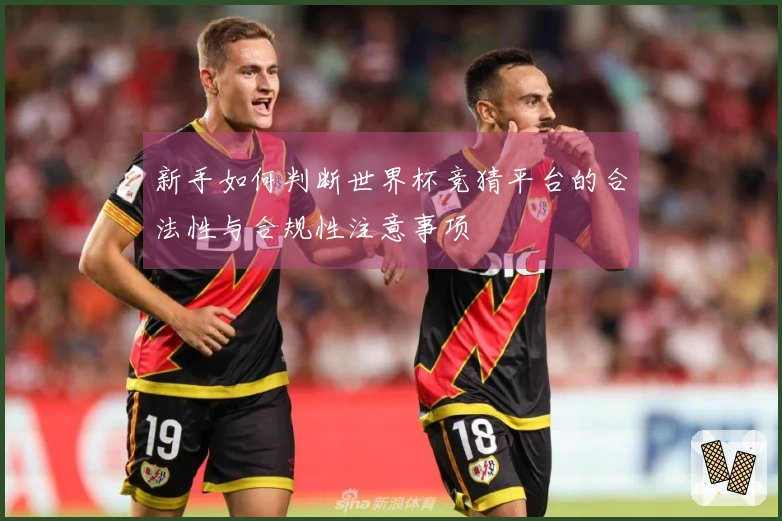 新手如何判断世界杯竞猜平台的合法性与合规性注意事项