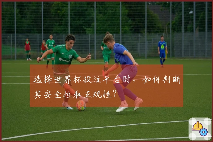 选择世界杯投注平台时，如何判断其安全性和正规性？