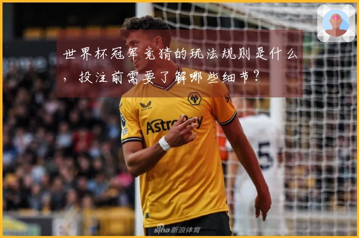 世界杯冠军竞猜的玩法规则是什么，投注前需要了解哪些细节？