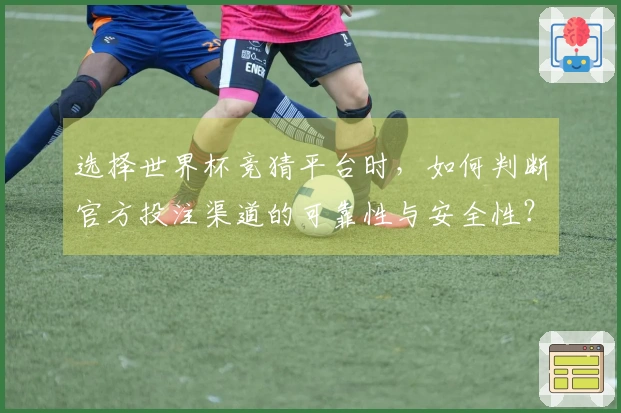 选择世界杯竞猜平台时，如何判断官方投注渠道的可靠性与安全性？