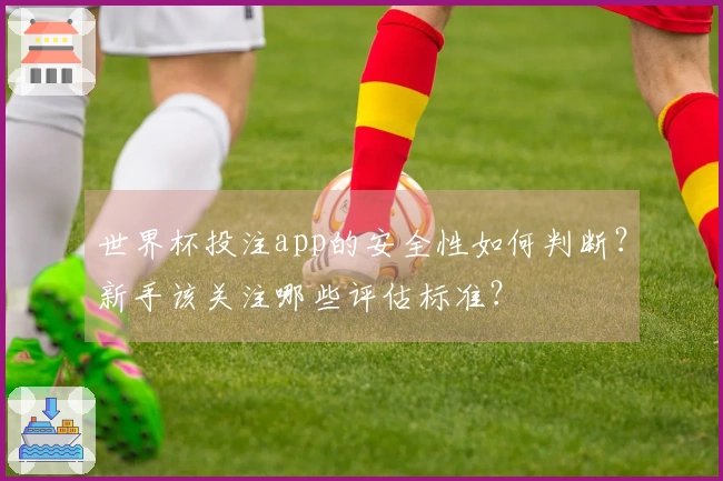 世界杯投注app的安全性如何判断?新手该关注哪些评估标准?