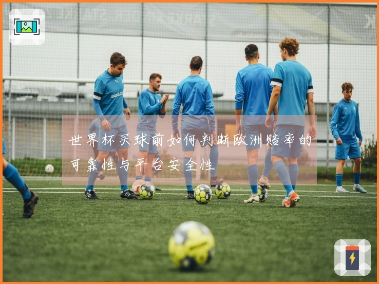 世界杯买球前如何判断欧洲赔率的可靠性与平台安全性