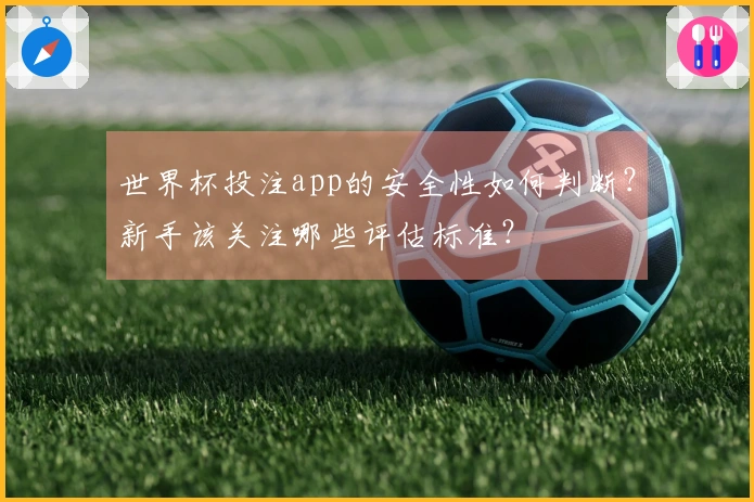 世界杯投注app的安全性如何判断？新手该关注哪些评估标准？