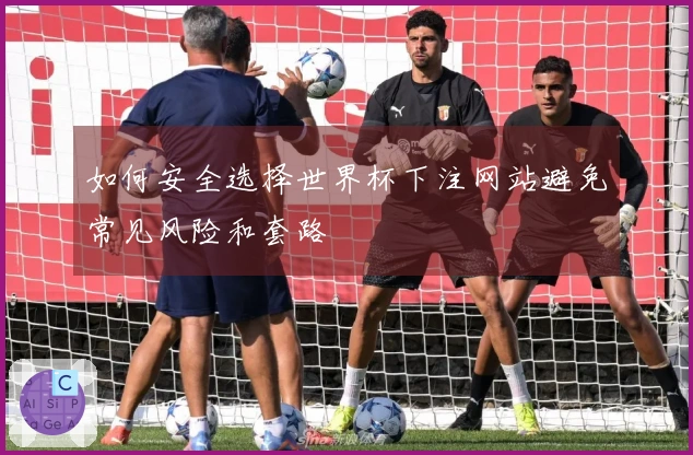 如何安全选择世界杯下注网站避免常见风险和套路