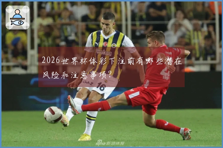 2026世界杯体彩下注前有哪些潜在风险和注意事项？