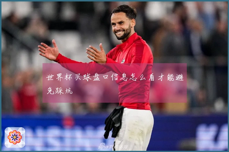世界杯买球盘口信息怎么看才能避免踩坑