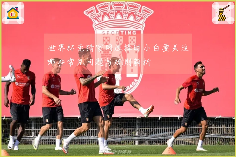 世界杯竞猜官网选择时小白要关注哪些常见问题与规则解析