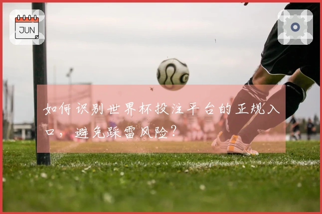 如何识别世界杯投注平台的正规入口，避免踩雷风险？