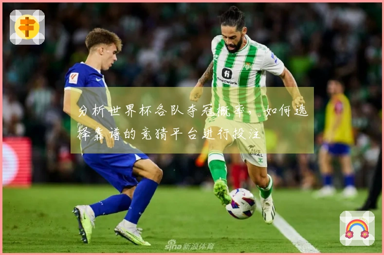 分析世界杯各队夺冠概率，如何选择靠谱的竞猜平台进行投注