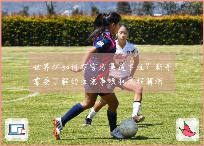 世界杯如何在官方渠道下注？新手需要了解的注意事项和流程解析