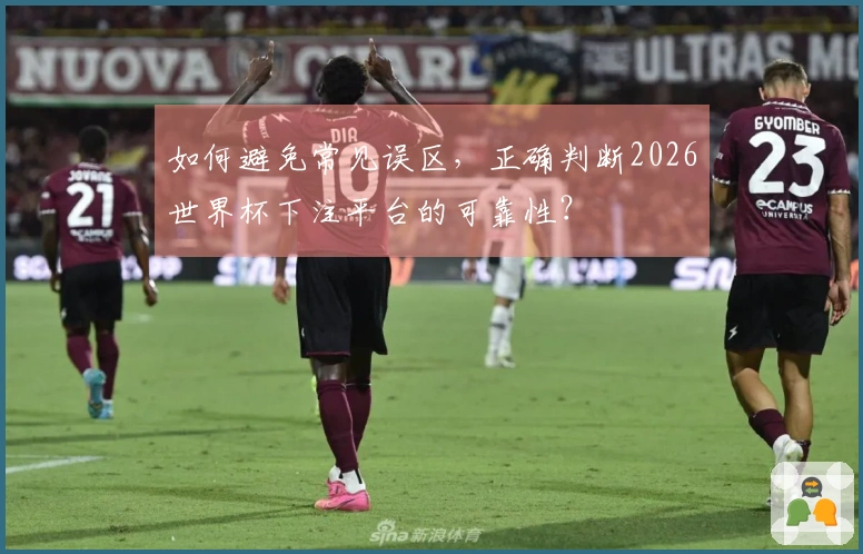 如何避免常见误区，正确判断2026世界杯下注平台的可靠性？