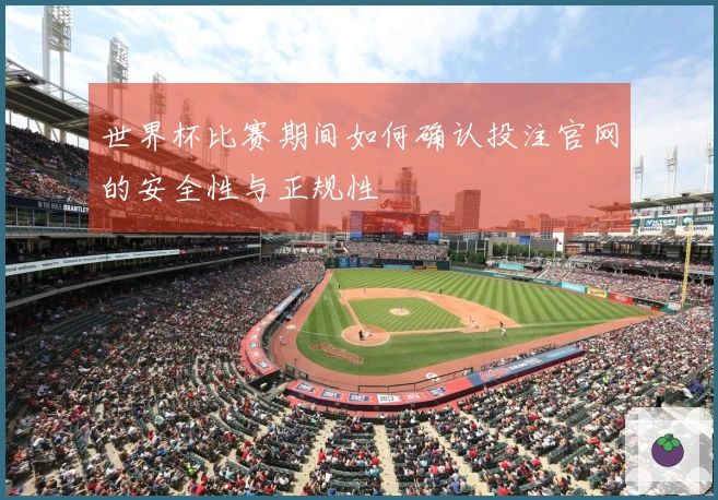 世界杯比赛期间如何确认投注官网的安全性与正规性