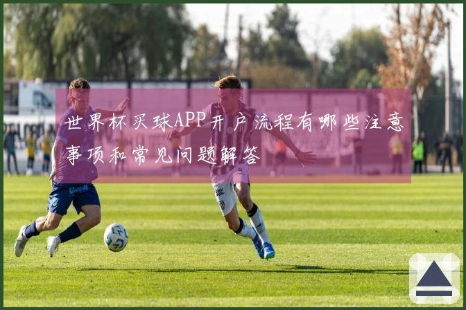世界杯买球APP开户流程有哪些注意事项和常见问题解答