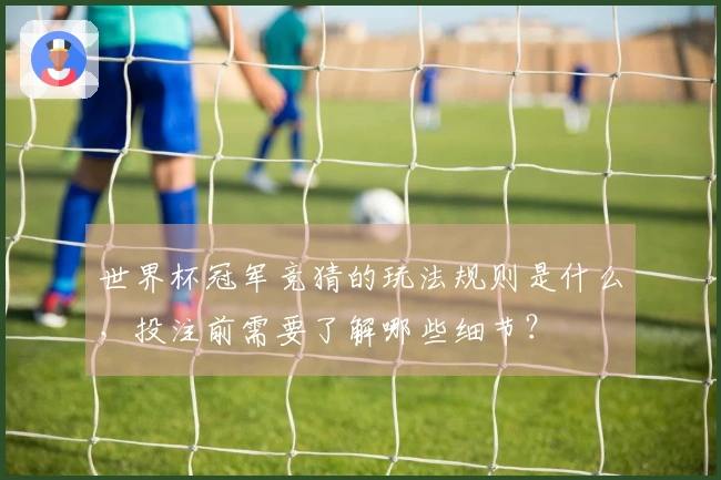 世界杯冠军竞猜的玩法规则是什么,投注前需要了解哪些细节?