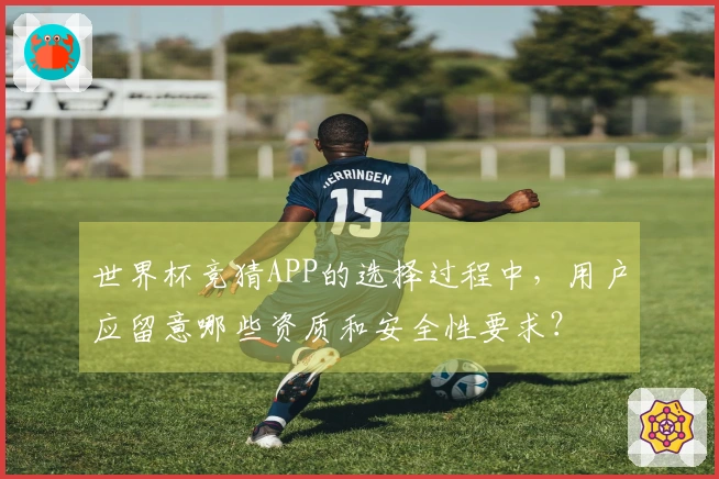 世界杯竞猜APP的选择过程中，用户应留意哪些资质和安全性要求？