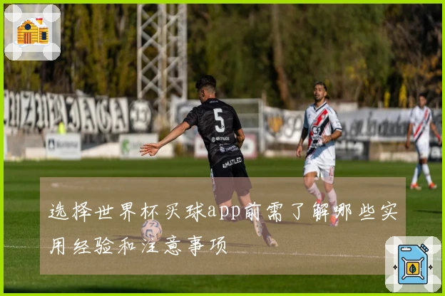 选择世界杯买球app前需了解哪些实用经验和注意事项