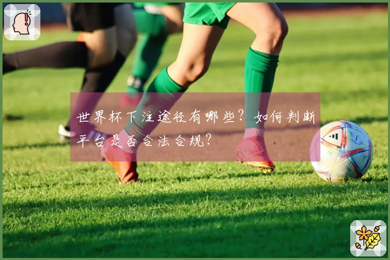 世界杯下注途径有哪些？如何判断平台是否合法合规？