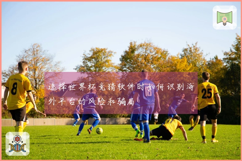 选择世界杯竞猜软件时如何识别海外平台的风险和骗局