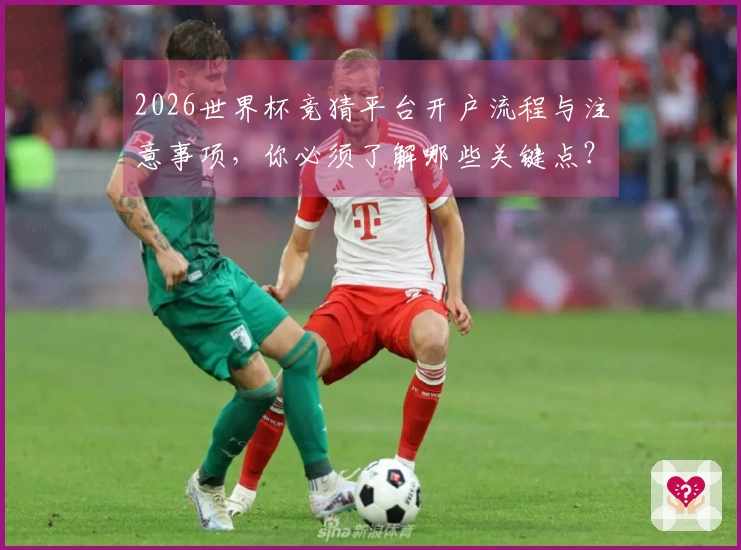 2026世界杯竞猜平台开户流程与注意事项,你必须了解哪些关键点?