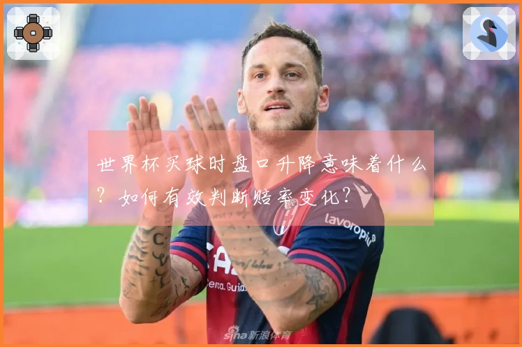 世界杯买球时盘口升降意味着什么?如何有效判断赔率变化?